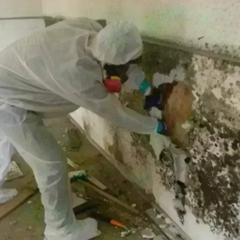 Mold Remediation and Removal in Hudson County, NJ