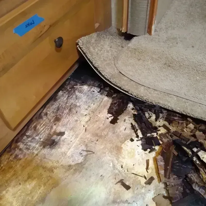 Wood Floor Water Damage in Hudson County, NJ